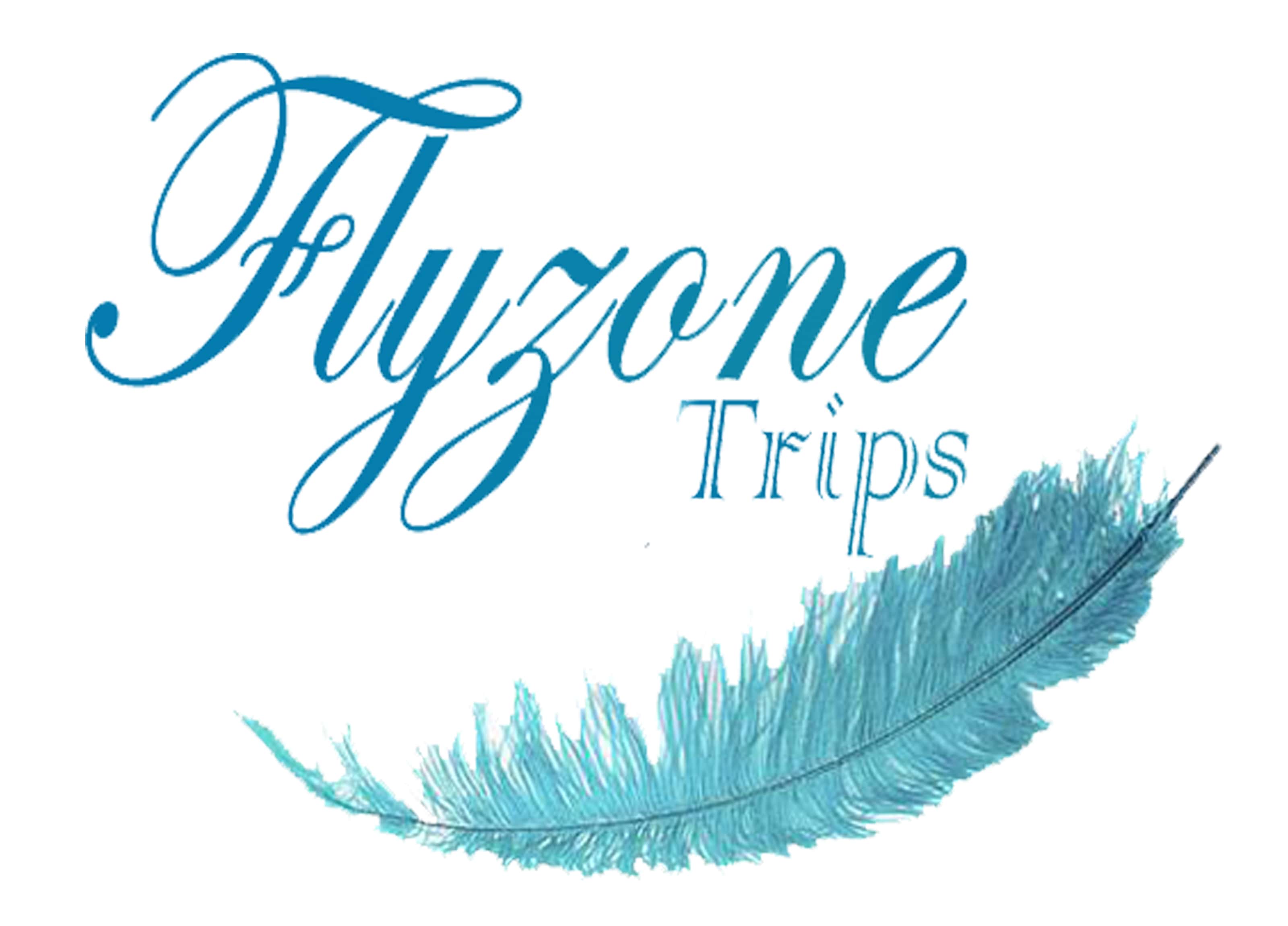 Flyzone Trips