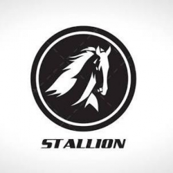 Stallion Car Rental Ser..