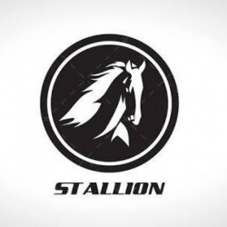 Stallion Car Rental Service Palani Image