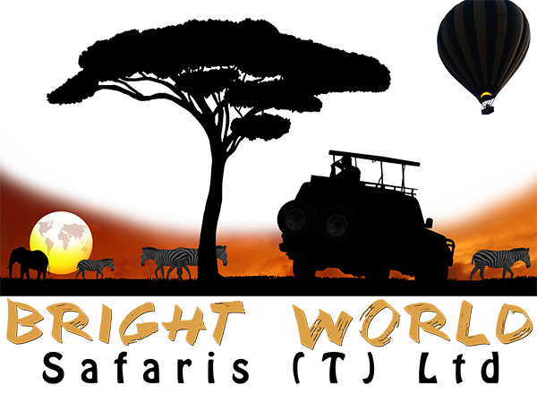 Bright World Safaris
