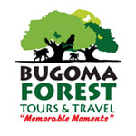 Bugoma Forest  Tours and Travel