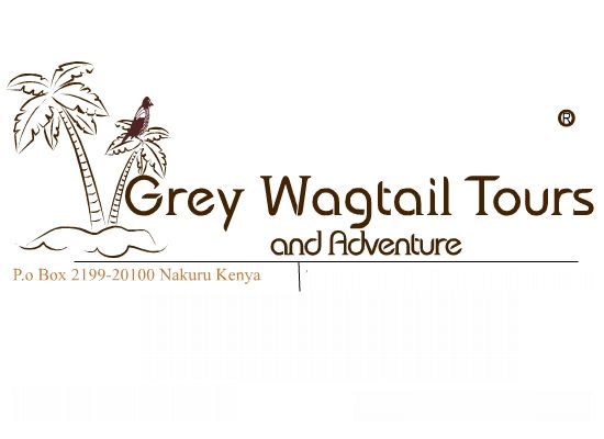 Grey Wagtail Tours and ..