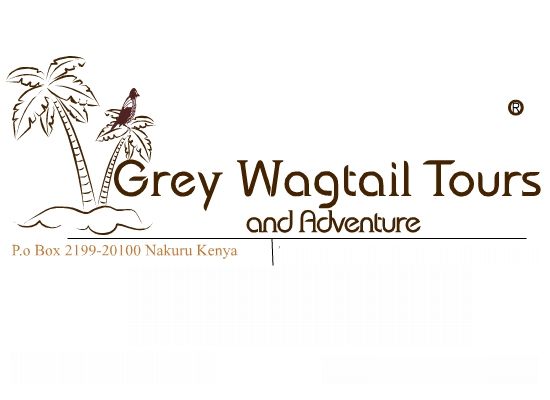 Grey Wagtail Tours and Adventure