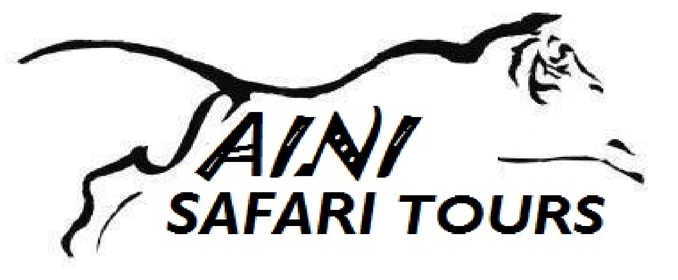 Saini Safari Tours