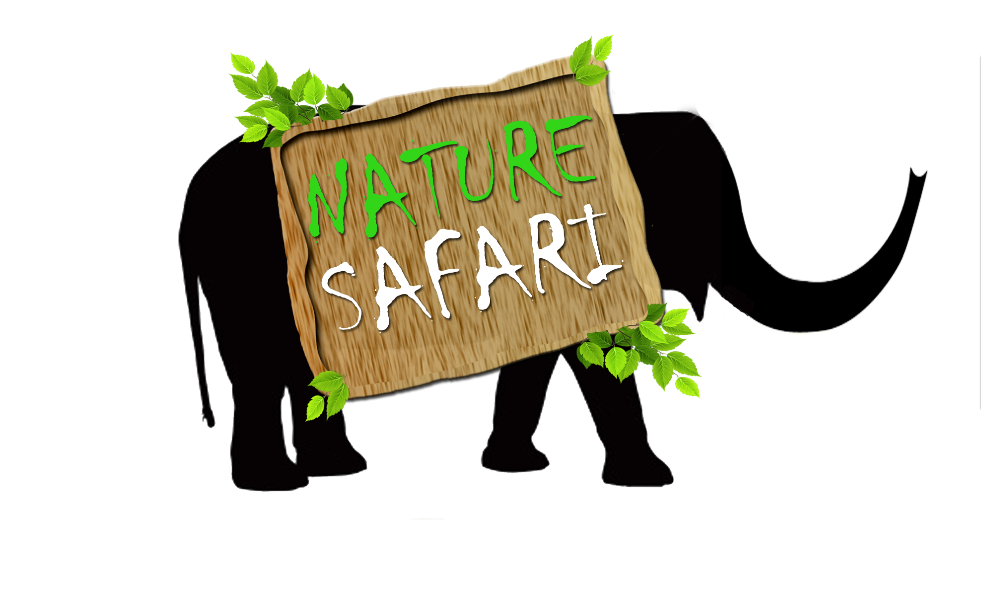 Nature Safari