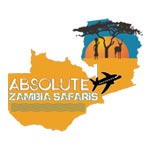 Absolute Zambia Safaris