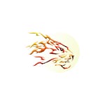 Lucky Sri Lanka Tours