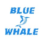 Blue Whale Travels