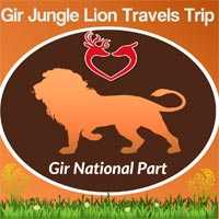 Gir Jungle Lion Travels