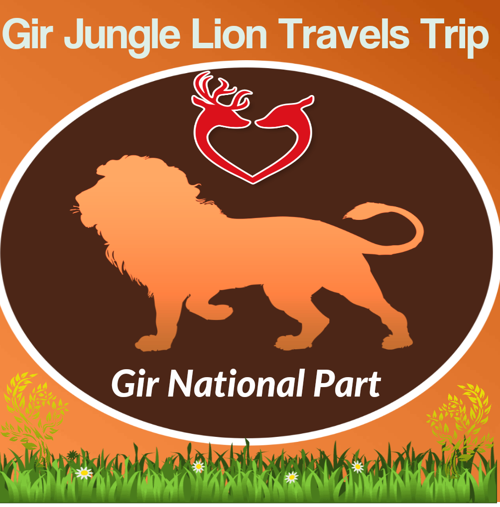 Gir Jungle Lion Travels