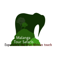 Malanga Tour Safaris