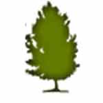 Nature Hotels and Resort