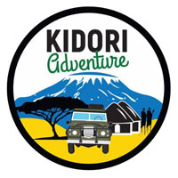Kidori Adventure