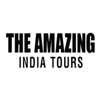 The Amazing India Tours