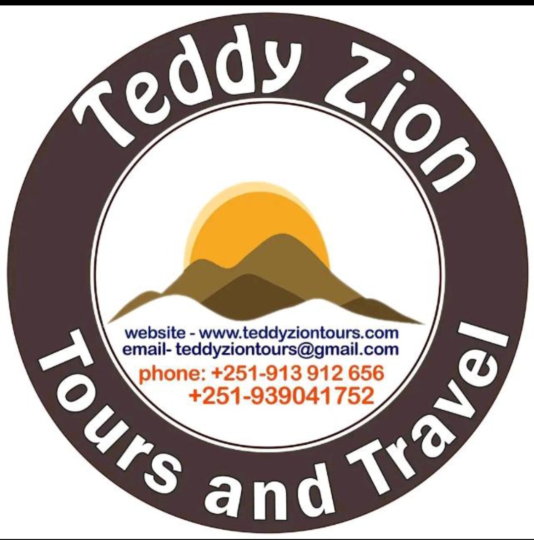 Teddy Zion Tours