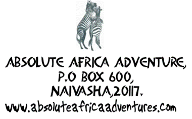 Absolute Africa Adventu..