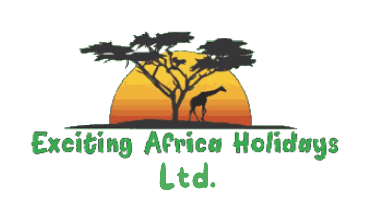 Exciting Africa Holiday..