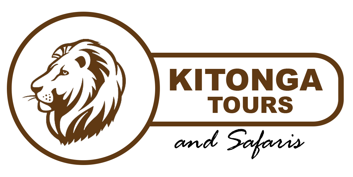 Kitonga Tours and safaris