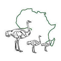 Benroso Safaris