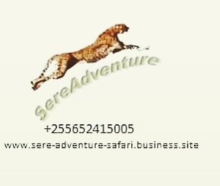 Sere adventure Safari