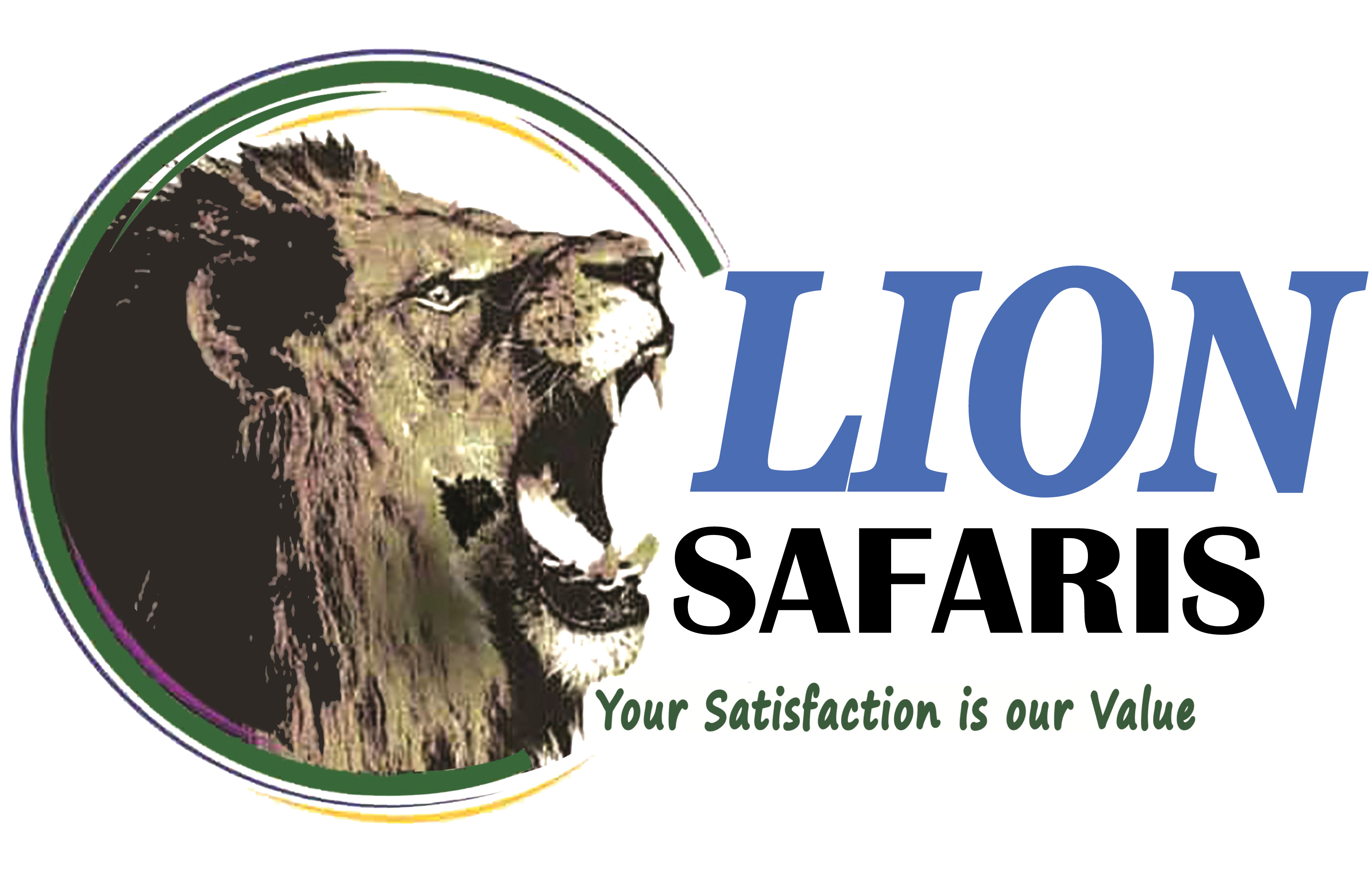 Lion Safaris