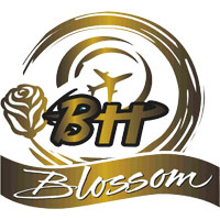 Blossom Tour and Travel