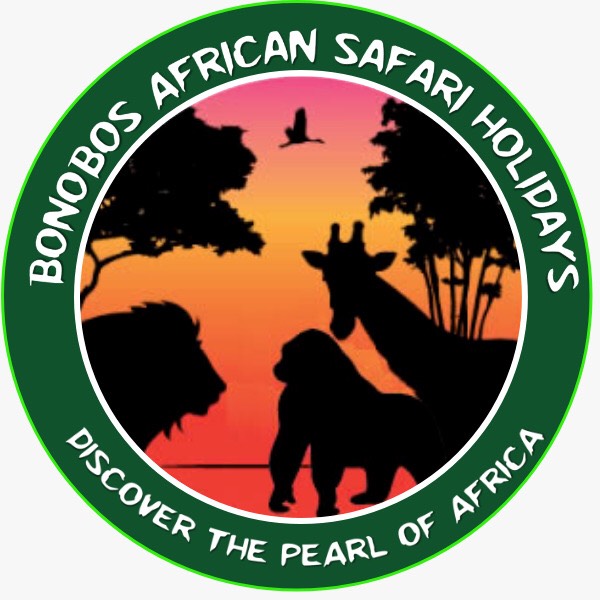 Bonobos African Safari Holidays