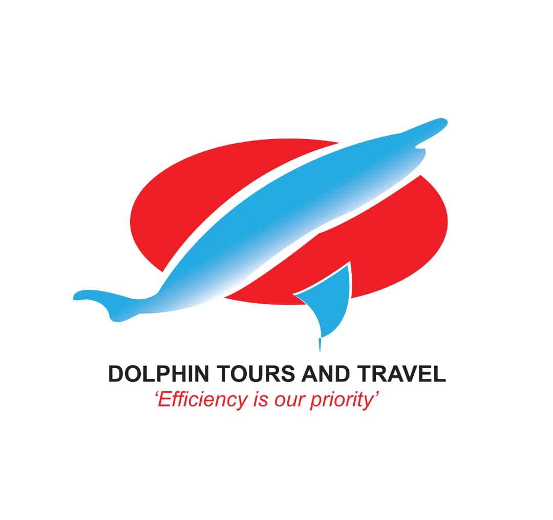 Dolphin Tours & travel