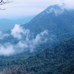 Top Tourist Places To Visit in Shimoga