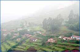 Top Tourist Places To Visit in Coonoor