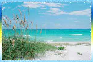 Top Tourist Places To Visit in Florida (Fl)
