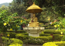 Butwal