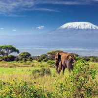 Top Tourist Places To Visit in Kilimanjaro