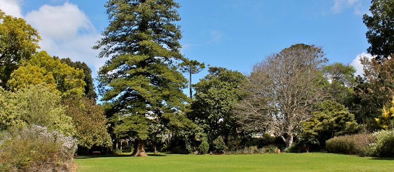 Top Tourist Places To Visit in Landsdown