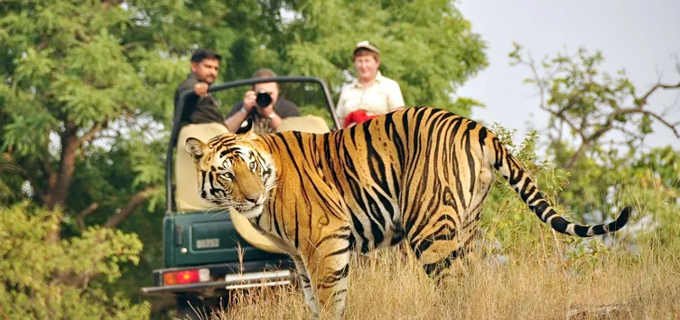 Top Tourist Places To Visit in Corbett