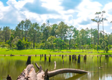 Koh Kong Travel Guide Koh Kong Travel Guide