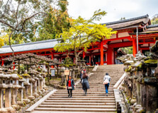 Nara