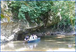 Borneo Jungle Trekking