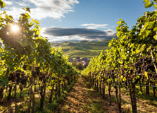 Chur Travel Guide