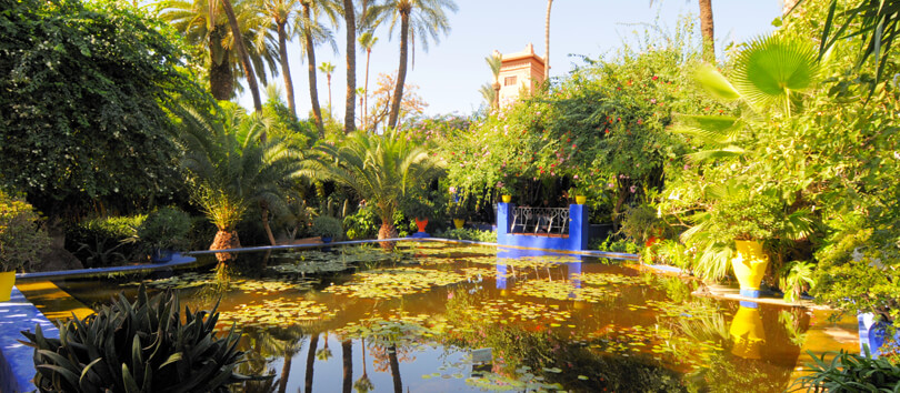 Top Tourist Places To Visit in Marrakesh