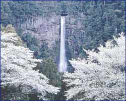 Top Tourist Places To Visit in Nachikatsuura