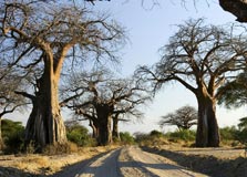 Kigoma-Ujiji Travel Guide