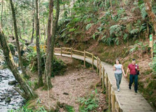Medellín Travel Guide