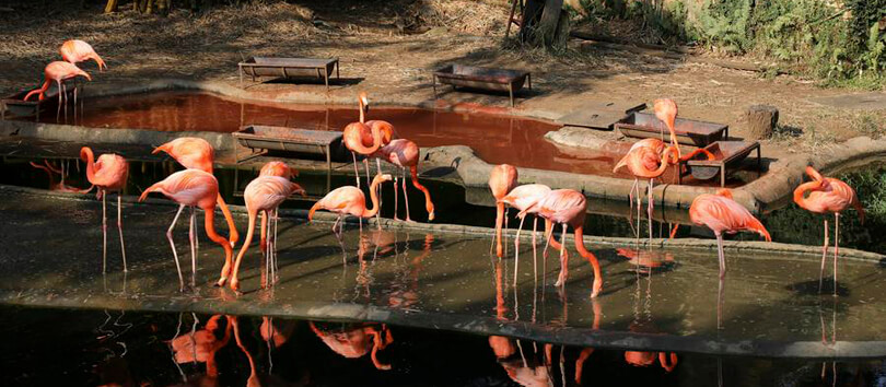 Top Tourist Places To Visit in Cali