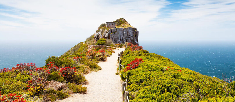 Top Tourist Places To Visit in Gqeberha